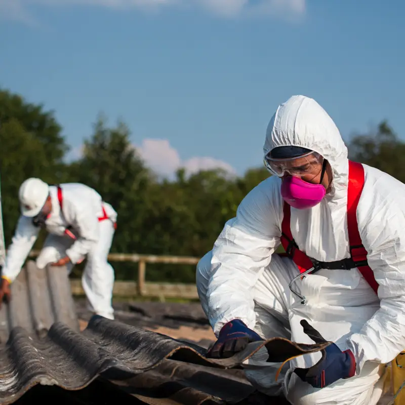 Asbestos process section image2