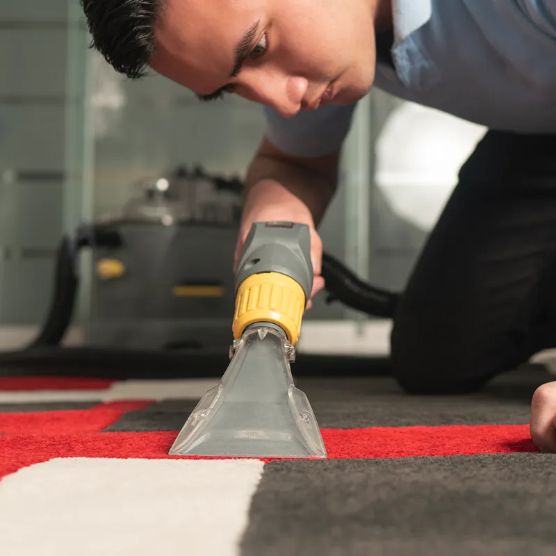 Carpet cleaning process section image