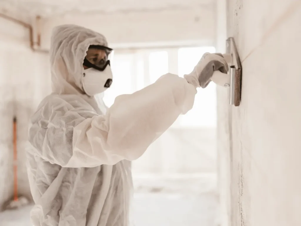 Lead paint overview bigger image