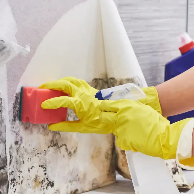 Mould guide image