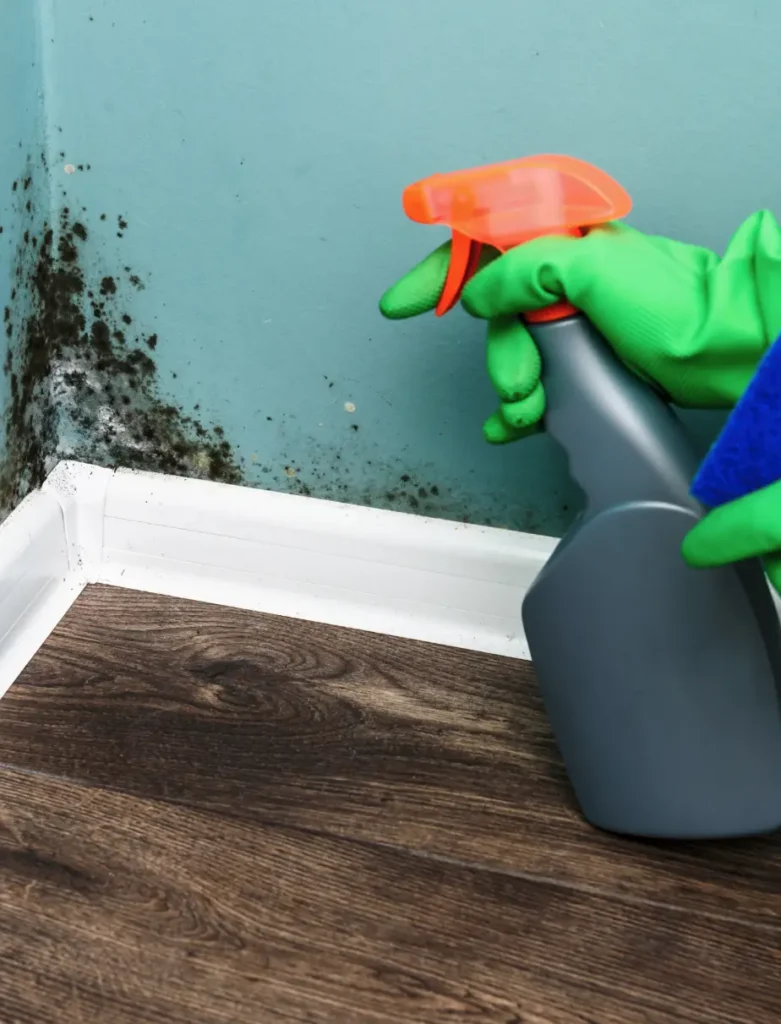 Mould overview